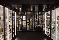 RSU anatomijas muzeja telpa ar skeletiem uz ekrāna